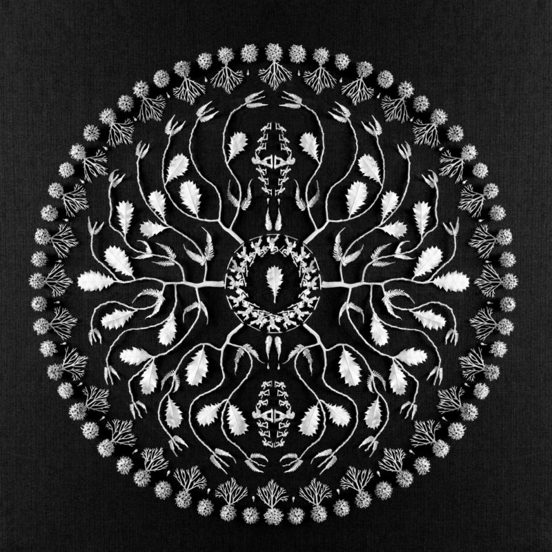 Dentelle Ardoise Noir Blanc